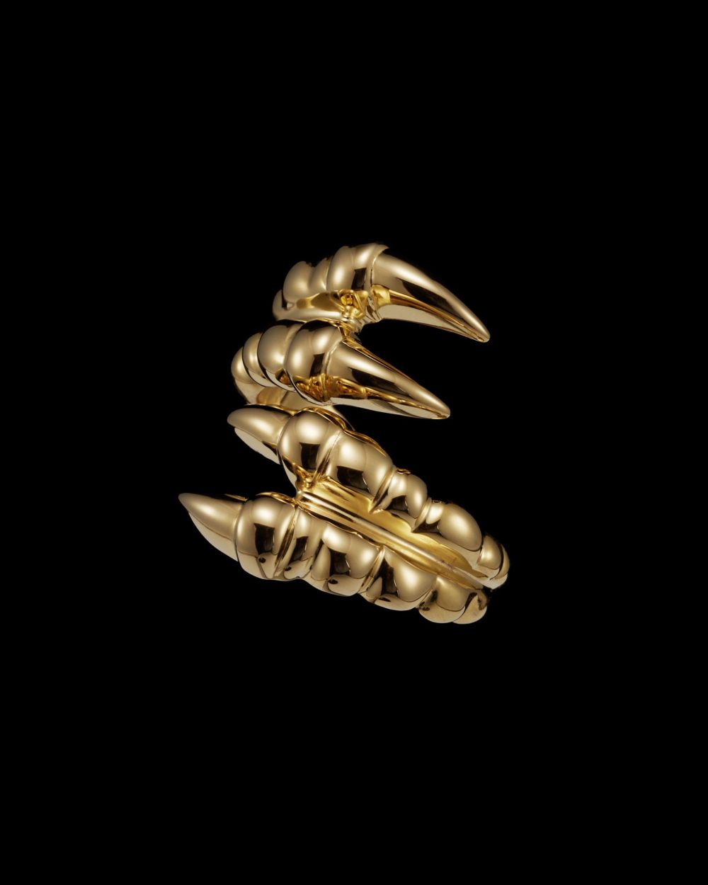 14_ee745ca512-claw-ring-double-gps-side-original