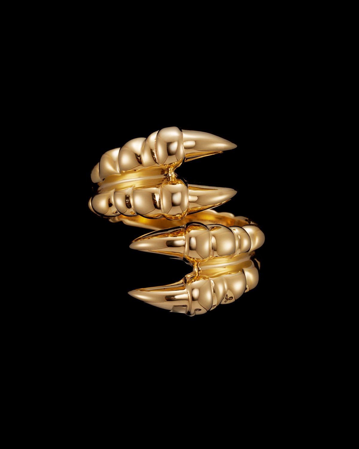 14_f1ef183a31-claw-ring-double-gps-front-0x1500